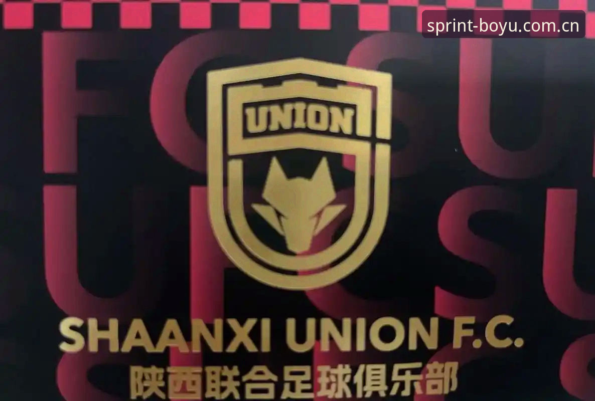 中国足协第三批禁足名单公布后，资深球迷如何在博鱼体育官网追踪赛事动态？